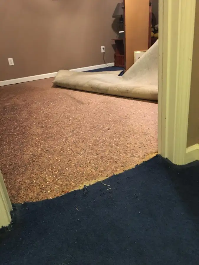 Carpet pad removal revealing water damage during Drying & Dehumidification in Strawberry